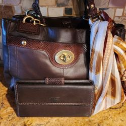 Coach Purse & Wallet 
