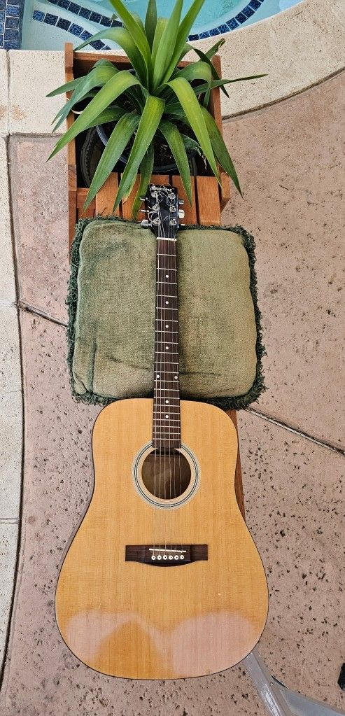 Acoustic Guitar
