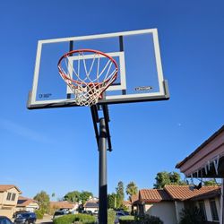 Lifetime Basketball Hoop