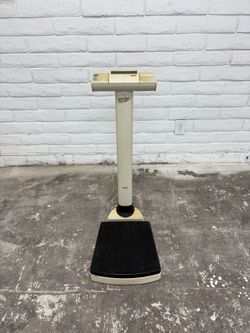 Seca Electronic Scale