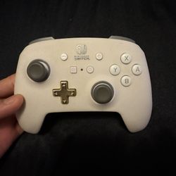 Nintendo Switch Wireless Controller