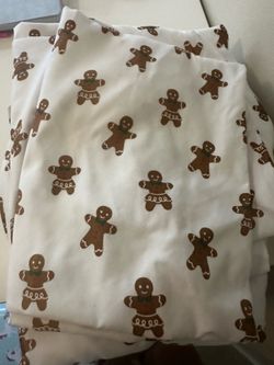 Twin Christmas sheet set.