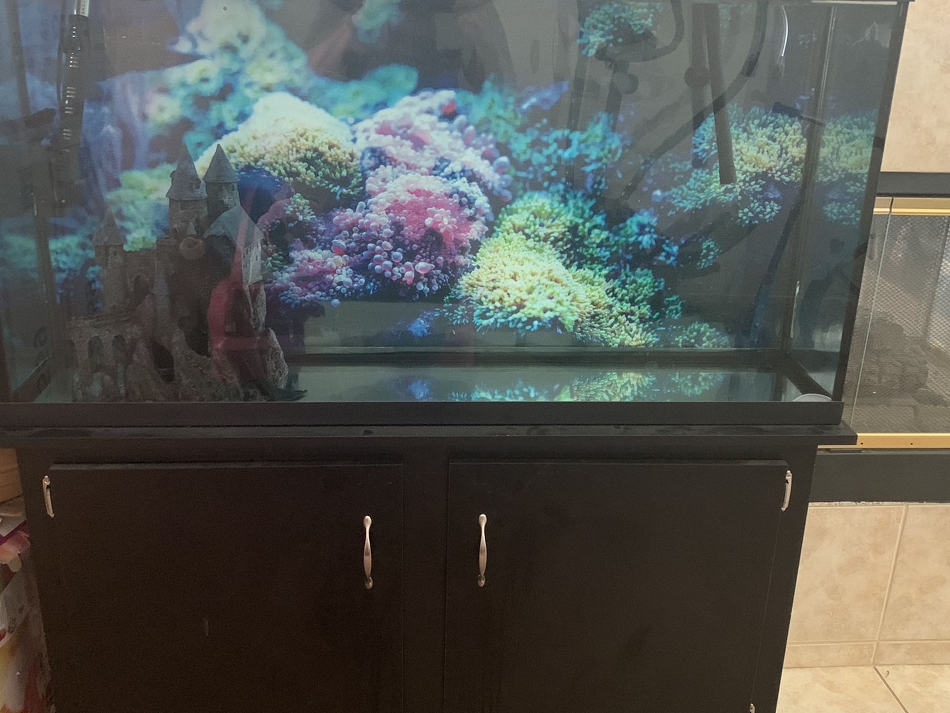 60 Gal Fish Tank