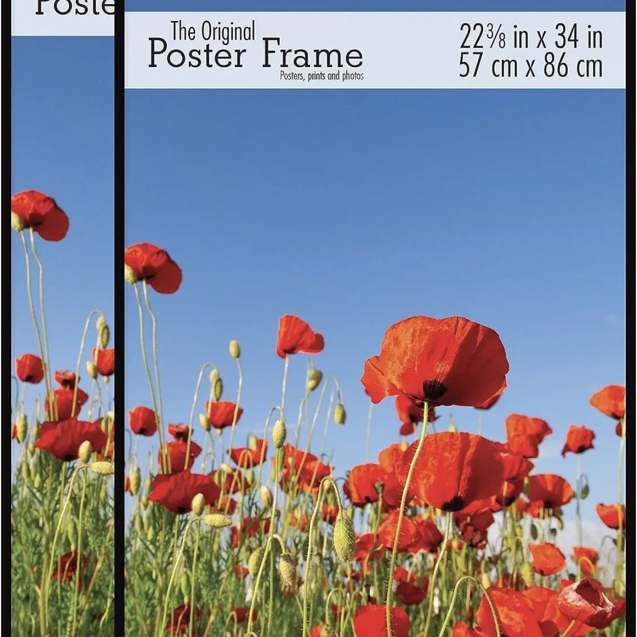 22 X 34 Poster Frame