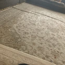 8”10 Rug