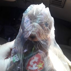 TY Beanie Baby Seaweed