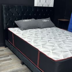 Bed Set For $350 All Sizes Available And Free Delivery 