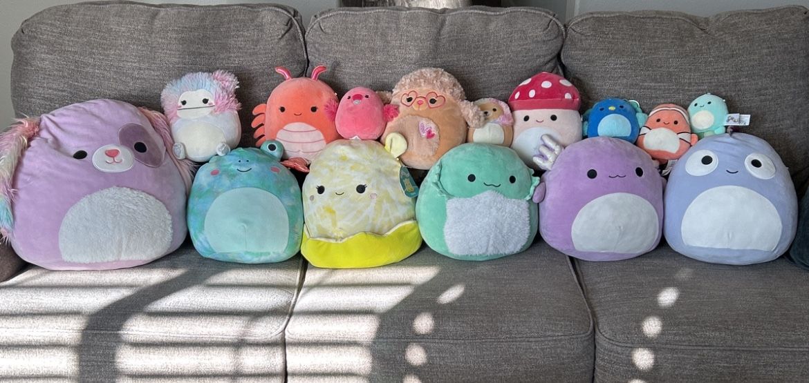 Squishmallow Lot