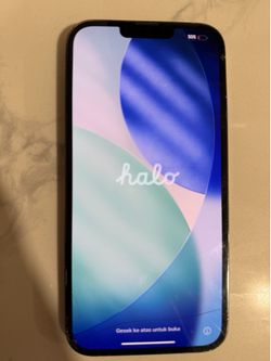 iPhone 13 Pro Max Unlocked
