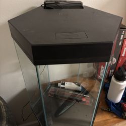 40 Gallon Fish Tank 