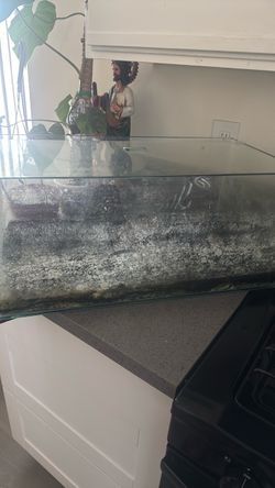 Rimless fish tank