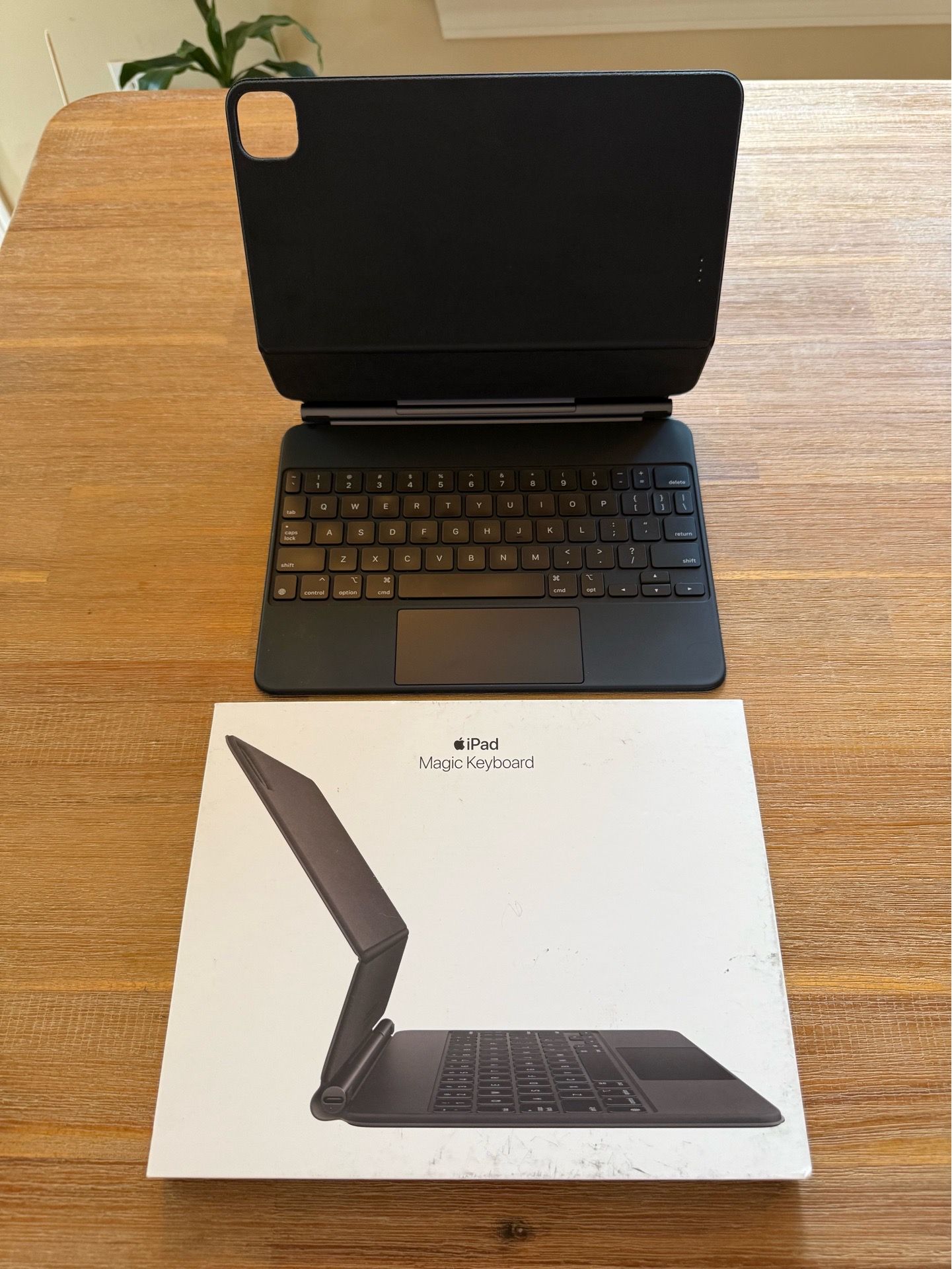 iPad Pro 11” Magic Keyboard