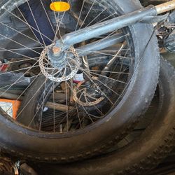 Need Gone Asap Today. 