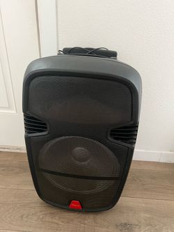 Large Speaker