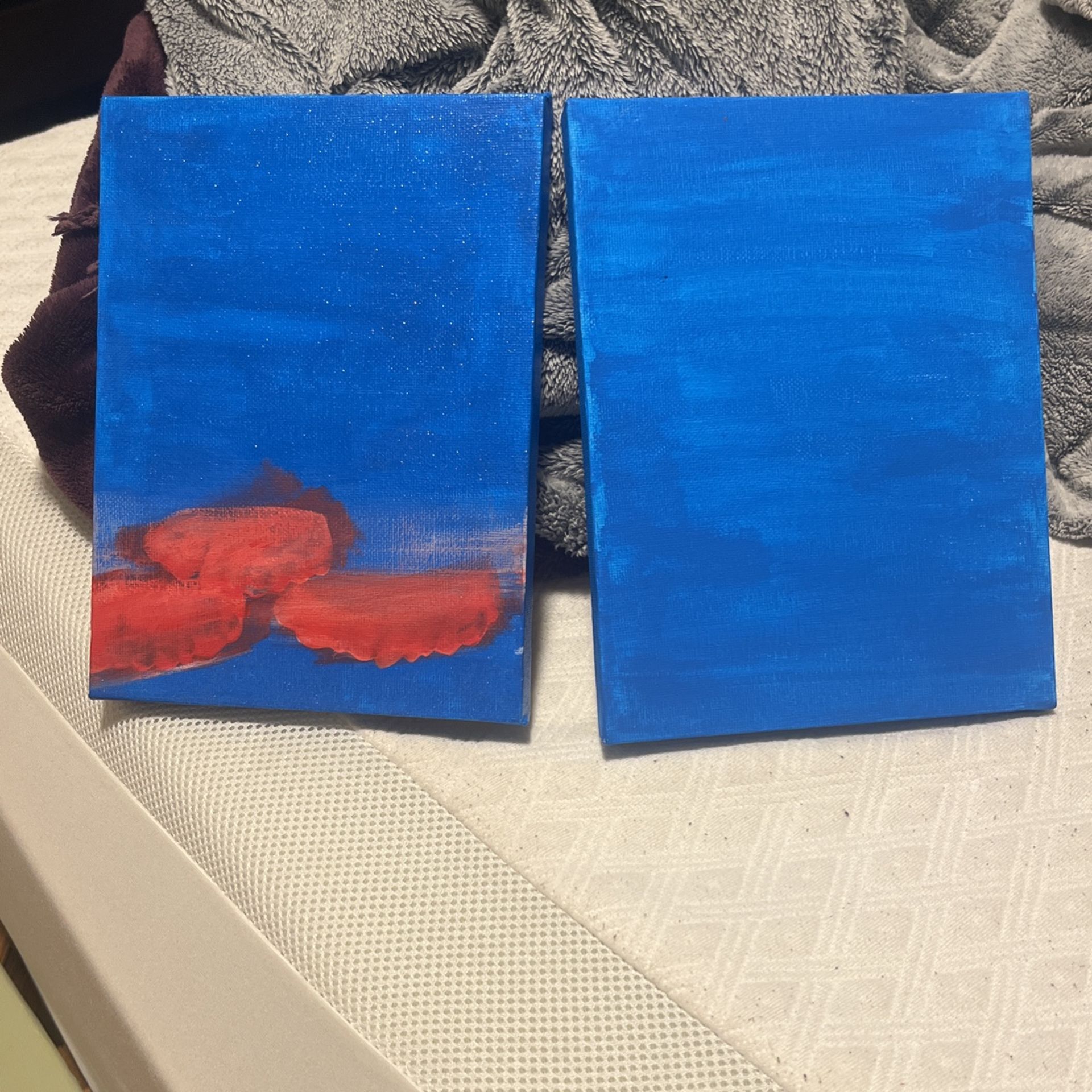 Used Canvas
