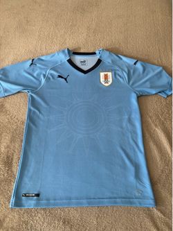 Uruguay World Cup Jersey (Blank)