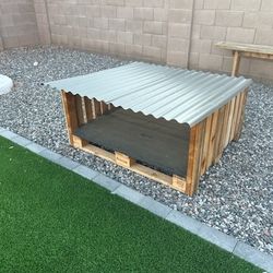 Dog House 