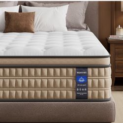 BedStory 14 inch Medium Firm Queen Mattress