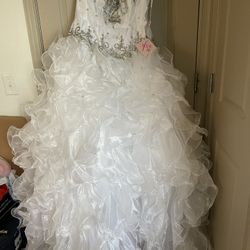 Sweet 16/Quinceñera Dress