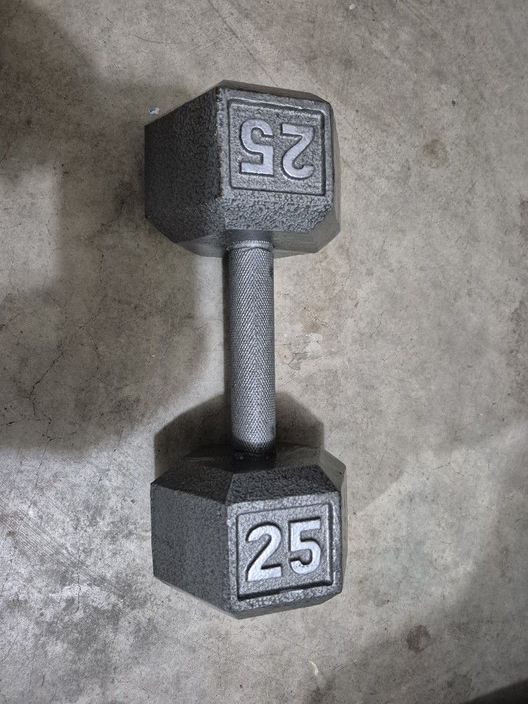 One 25 Pound Cast Iron Dumbell 