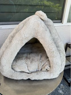 Cats Supplies Lot