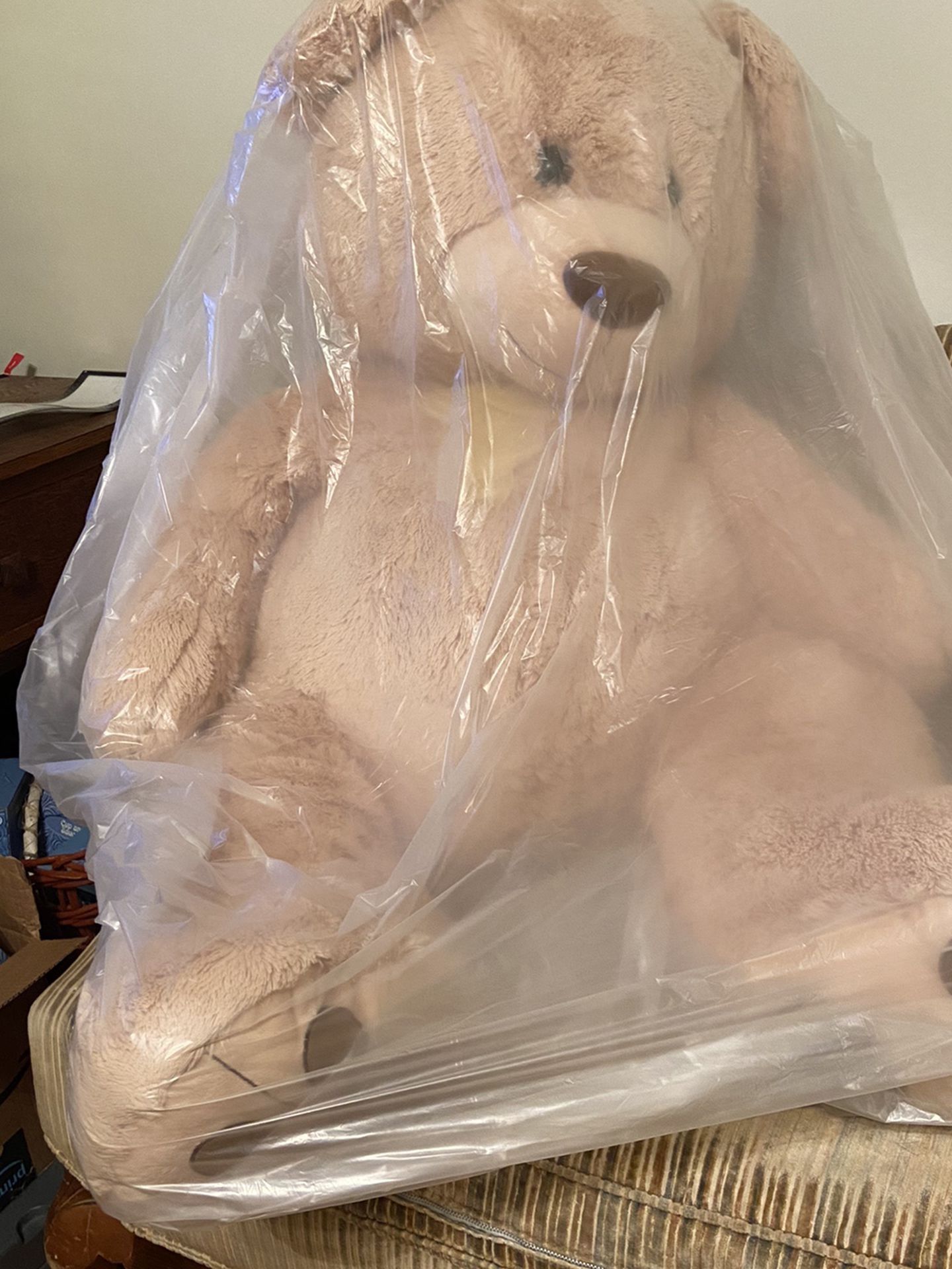FREE Giant Teddy Bear