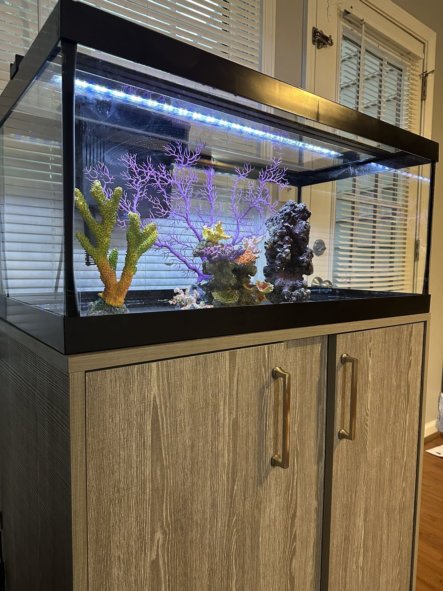 Salt Water Aquarium Tank With Stand.