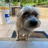 Brenda
