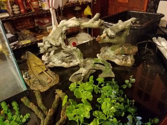 Set Fish Bowl with accessories and lights