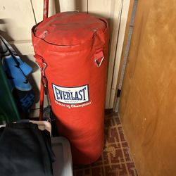 Everlast Punching Bag 