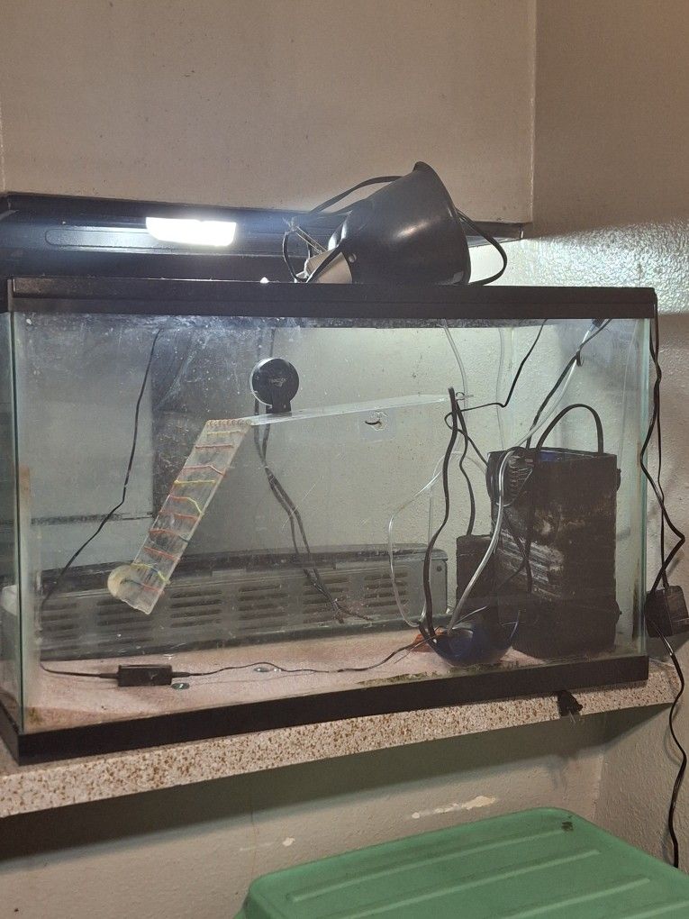 40 Gallon Aquarium Great Condition