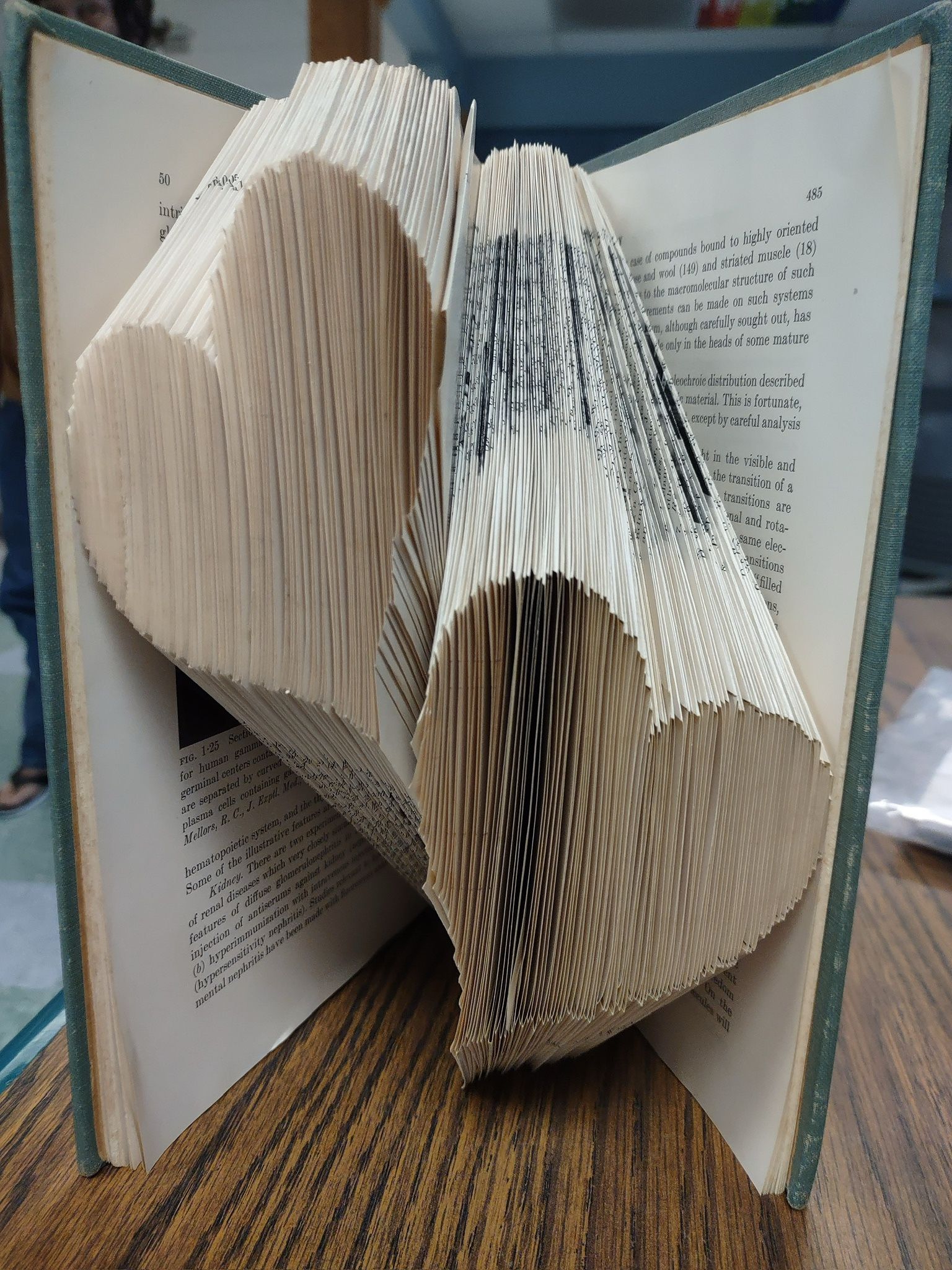 Folded Heart Book