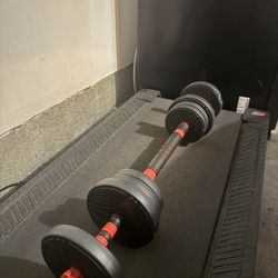 Weights 40 Pounds 