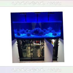 group soon Massive Aquarium Tank - Wide & Stunning Display