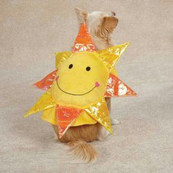 New dog HAPPY DAY Sun Sunshine Face Halloween Costume Pet Clothes, XL