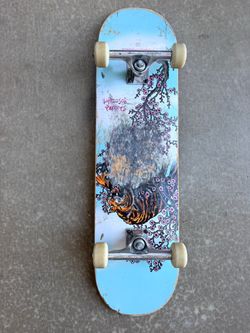 Skate board