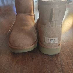 Woman's Uggs