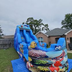 Waterslide 
