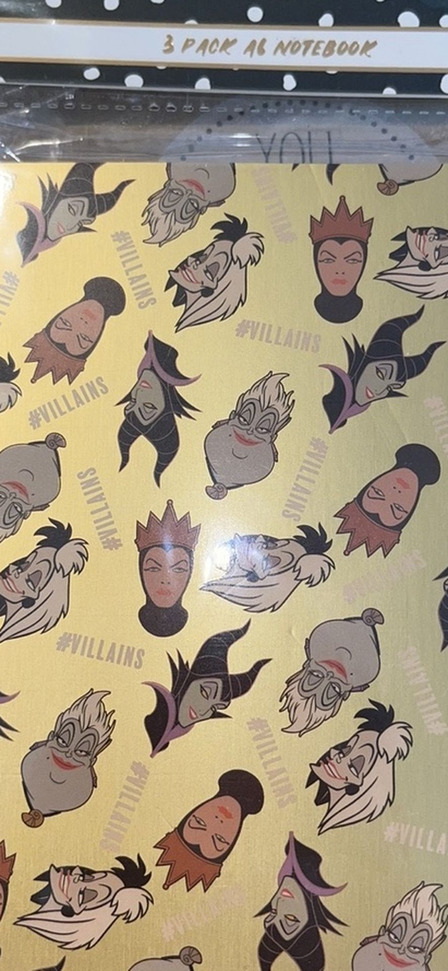 Villains, Notebook Set Of 3 Bought In Germany