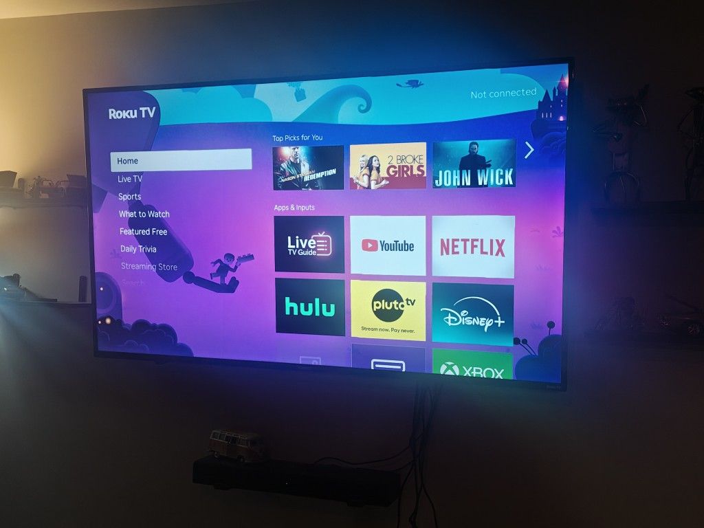 Roku Tv