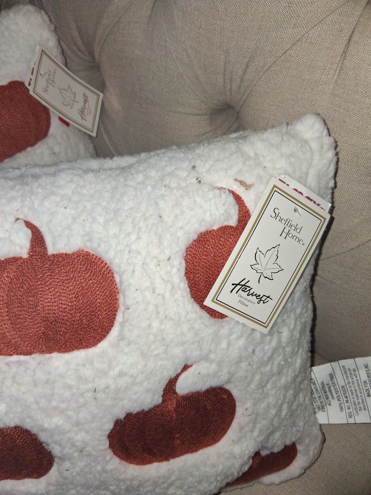 Brand New Accent Pillows