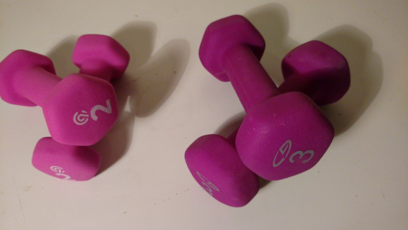 2-Pink 2lb & 2 Purple 3lb. Rubberized grip dumbbell set