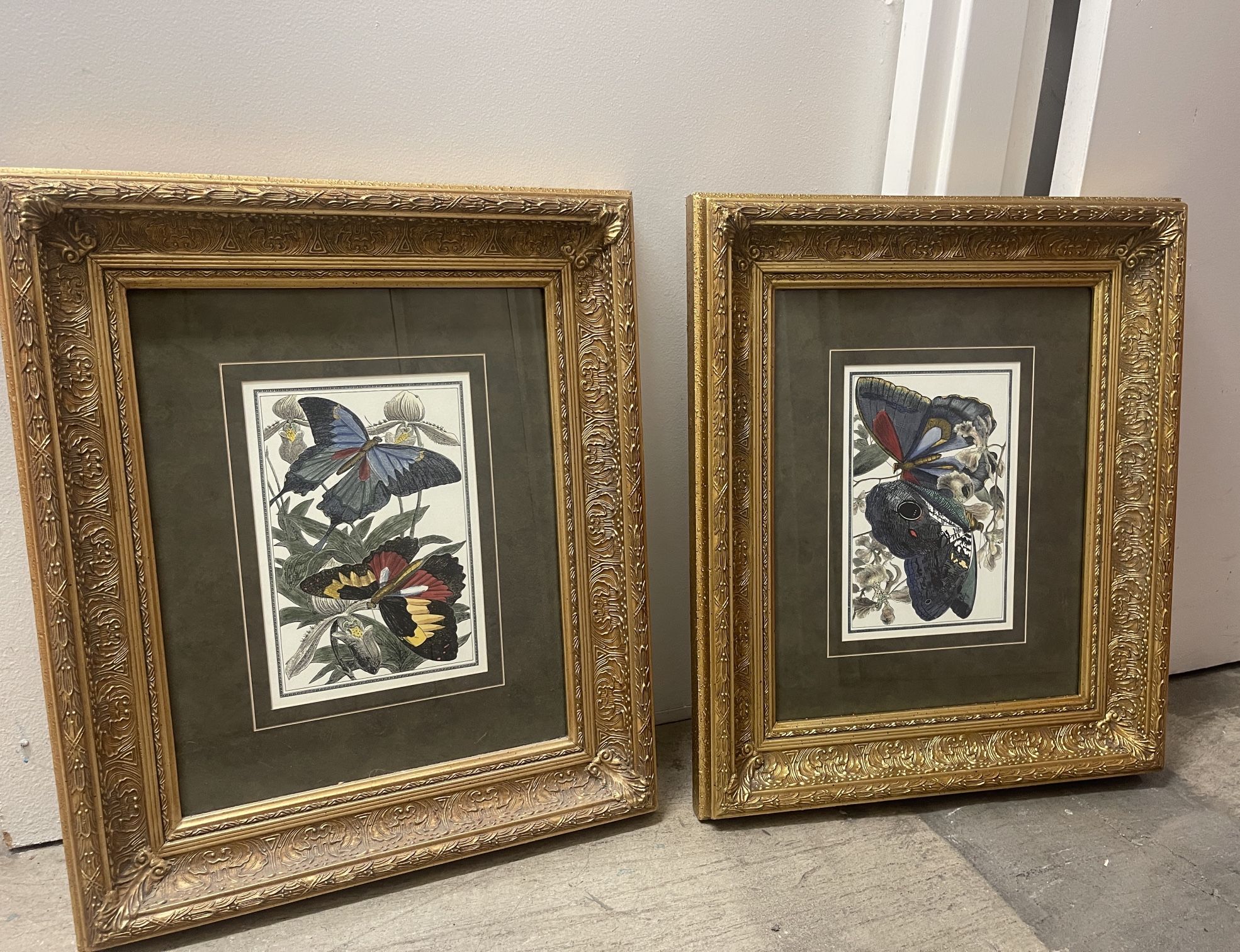 Gold Frame Butterfly Painting (Set of 2)