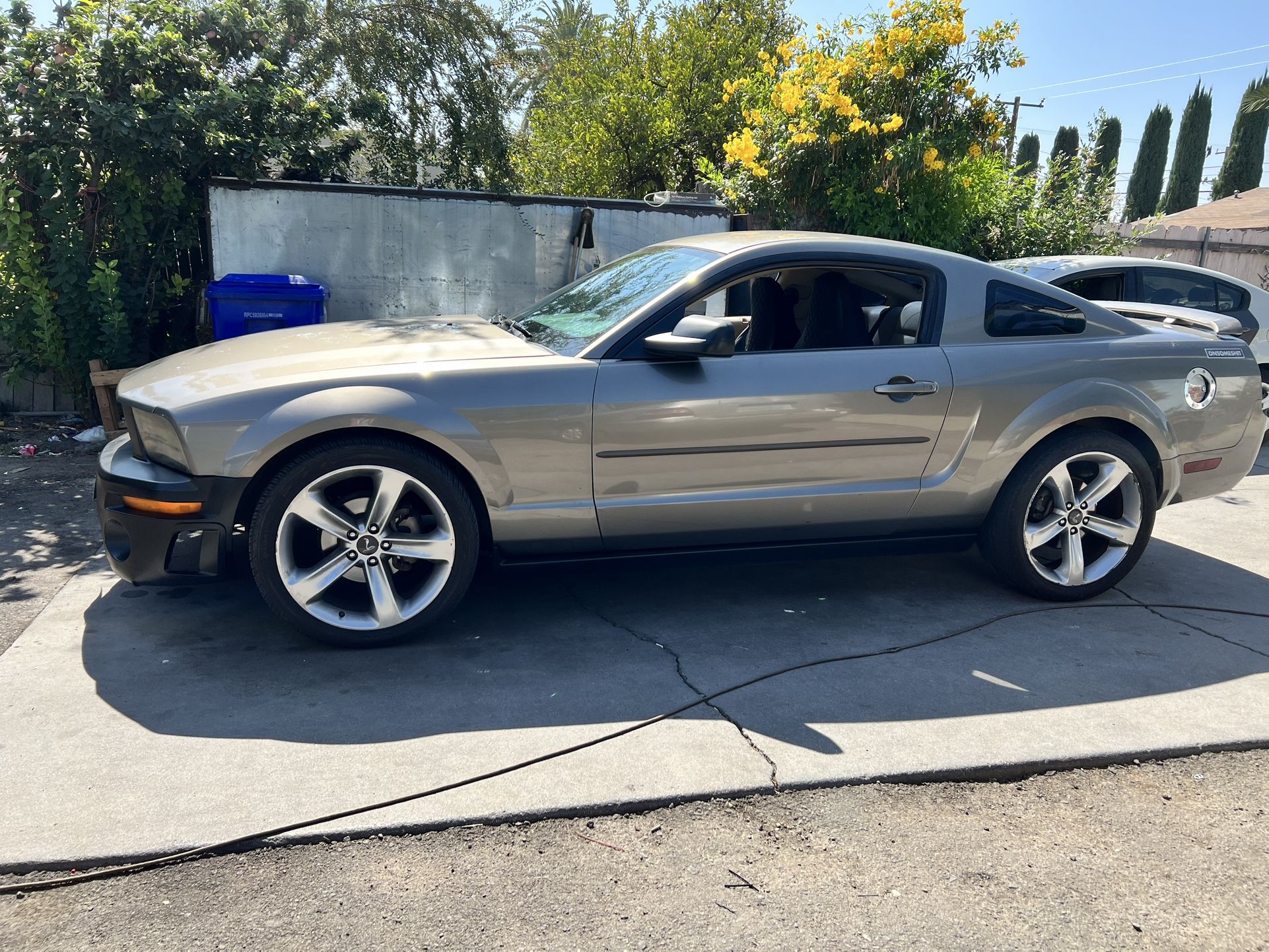 2005 Ford Mustang