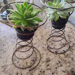 Vintage Rustic Bed Springs With Plant