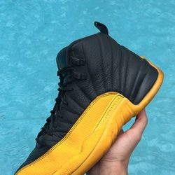 jordan 12 