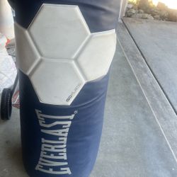 Everlast Punching Bag