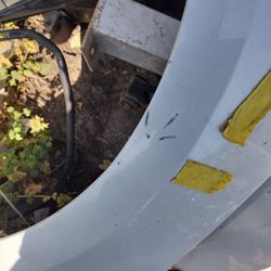 2021 Toyota Camry Hood & Left Fender 