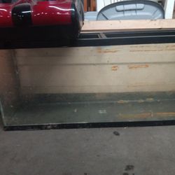 55 Gallon Fish Tank