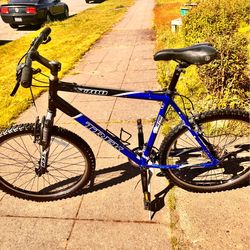 Mens 21” large mountain bike trek